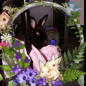 Meet your Posher, Heather